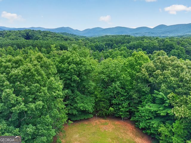 37 Gold Ditch Road, Cleveland, GA 30528