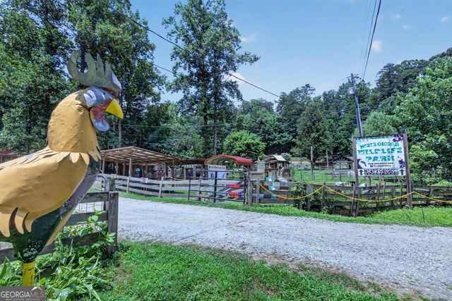 37 Gold Ditch Road, Cleveland, GA 30528