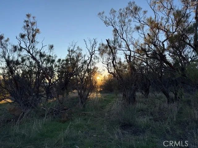 54740 Cave Rock, Anza, CA 92539