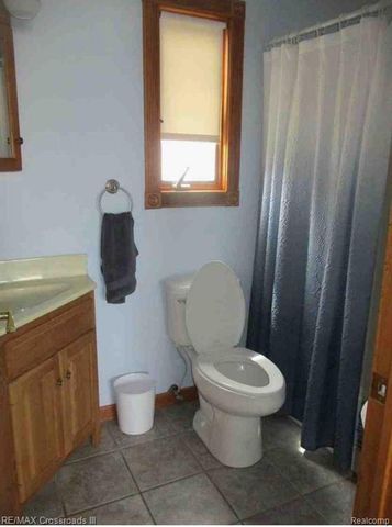 7527 Cove Road, Hale, MI 48739