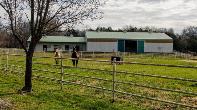 2828 Clouse Road, Mansfield, MO 65704