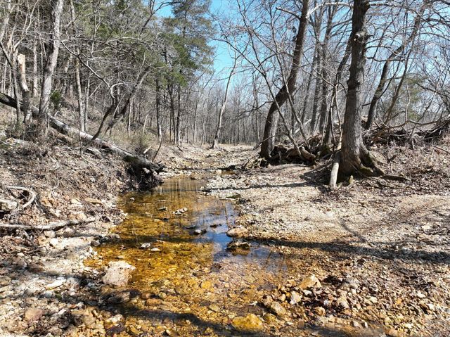 2828 Clouse Road, Mansfield, MO 65704