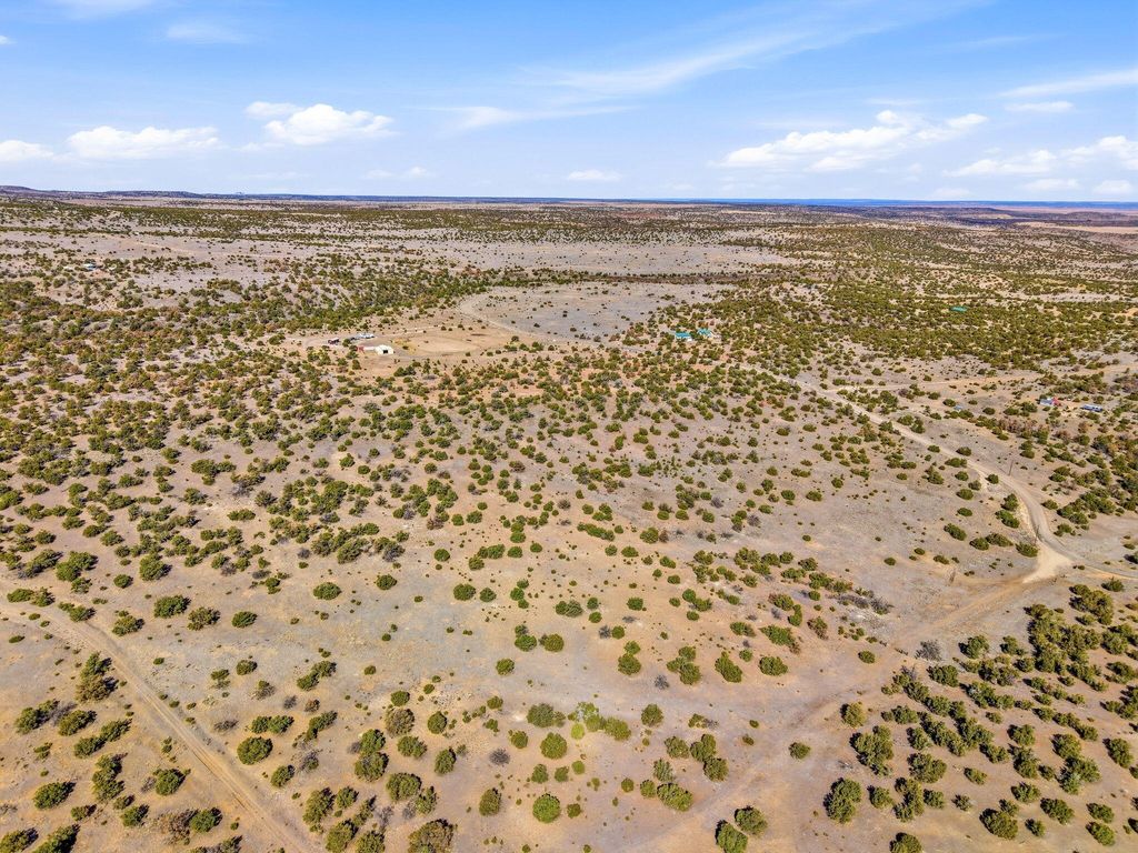 Image 21 of property listing at 196 Cimarron Drive, Quemado, NM 87829