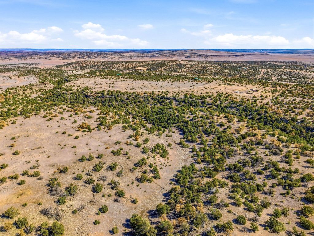 Image 22 of property listing at 196 Cimarron Drive, Quemado, NM 87829