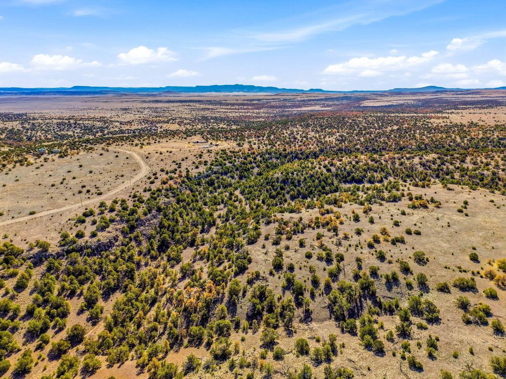 Image 23 of property listing at 196 Cimarron Drive, Quemado, NM 87829