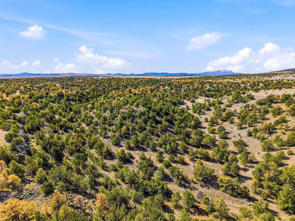 Image 24 of property listing at 196 Cimarron Drive, Quemado, NM 87829