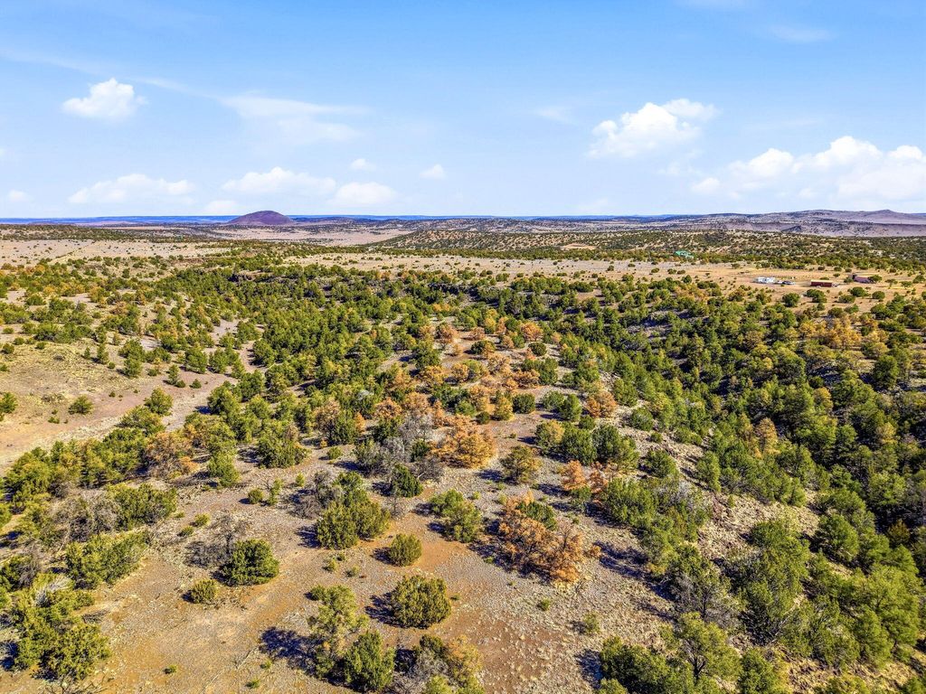 Image 25 of property listing at 196 Cimarron Drive, Quemado, NM 87829