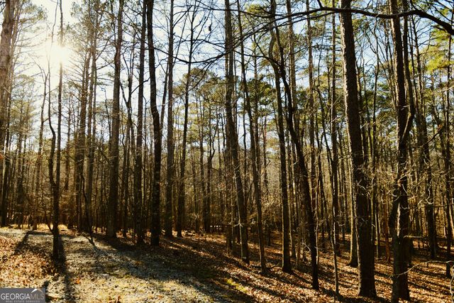 175 Marron Road, Fayetteville, GA 30215