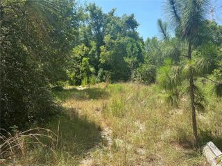 40314 LIME STREET, Eustis, FL 32736