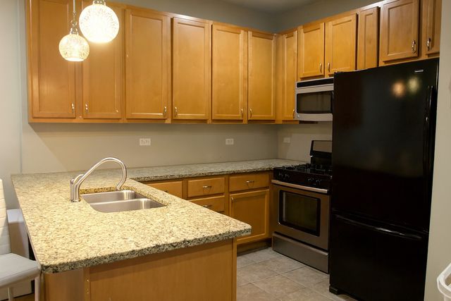 5408 S Michigan Avenue 1S, Chicago, IL 60615