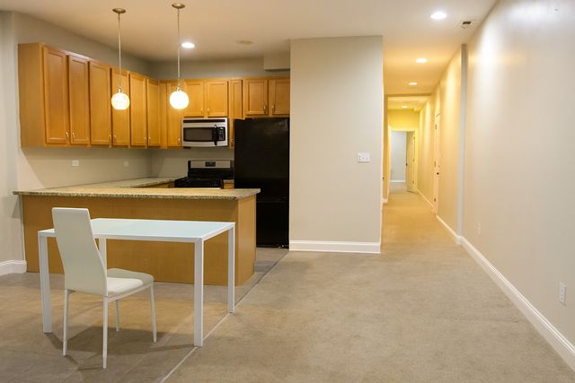 5408 S Michigan Avenue 1S, Chicago, IL 60615