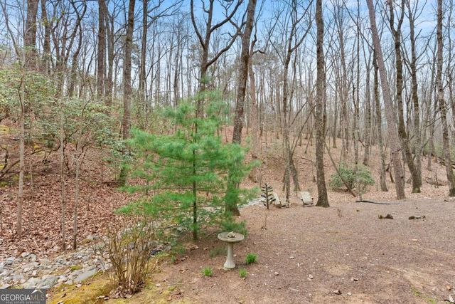 167 Early Red Pippin, Clarkesville, GA 30523