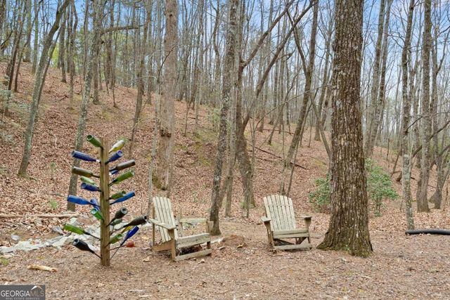 167 Early Red Pippin, Clarkesville, GA 30523