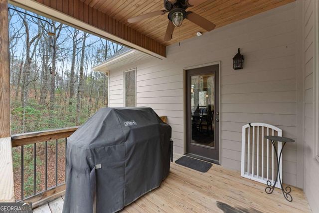 167 Early Red Pippin, Clarkesville, GA 30523