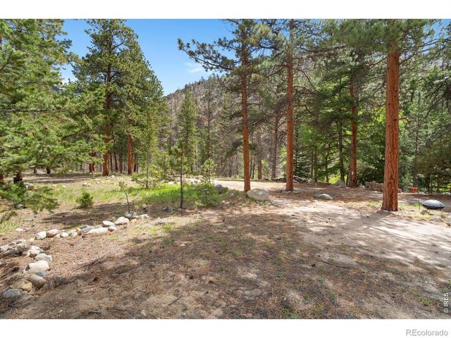 36917 Poudre Canyon Road, Bellvue, CO 80512