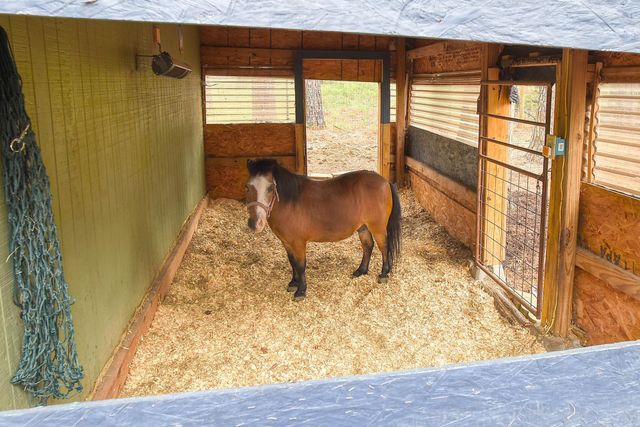 121 Pony Grass LN, Bastrop, TX 78602