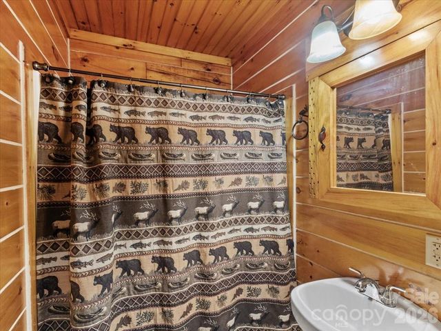 439 Upper Pig Pen Road, Green Mountain, NC 28740
