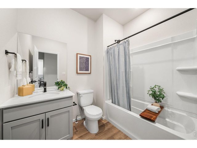 1804 Iron Wheel Dr 5, Windsor, CO 80550