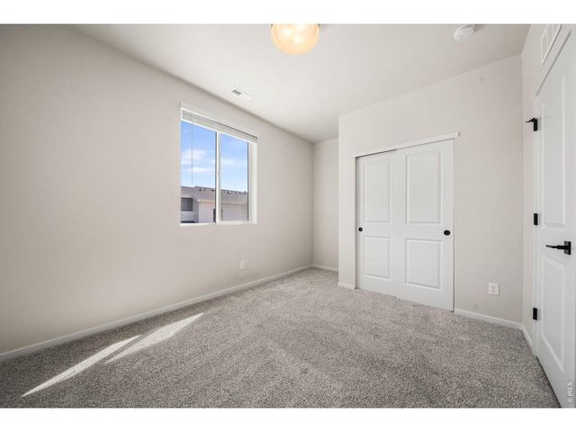 1804 Iron Wheel Dr 5, Windsor, CO 80550