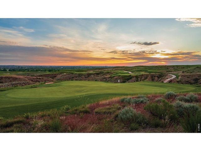 1804 Iron Wheel Dr 5, Windsor, CO 80550