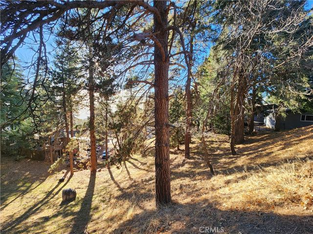 30696 Ferndale Drive, Running Springs, CA 92382