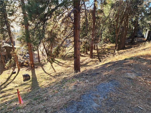 30696 Ferndale Drive, Running Springs, CA 92382