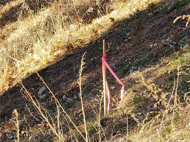 30696 Ferndale Drive, Running Springs, CA 92382