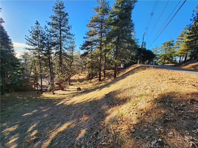 30696 Ferndale Drive, Running Springs, CA 92382