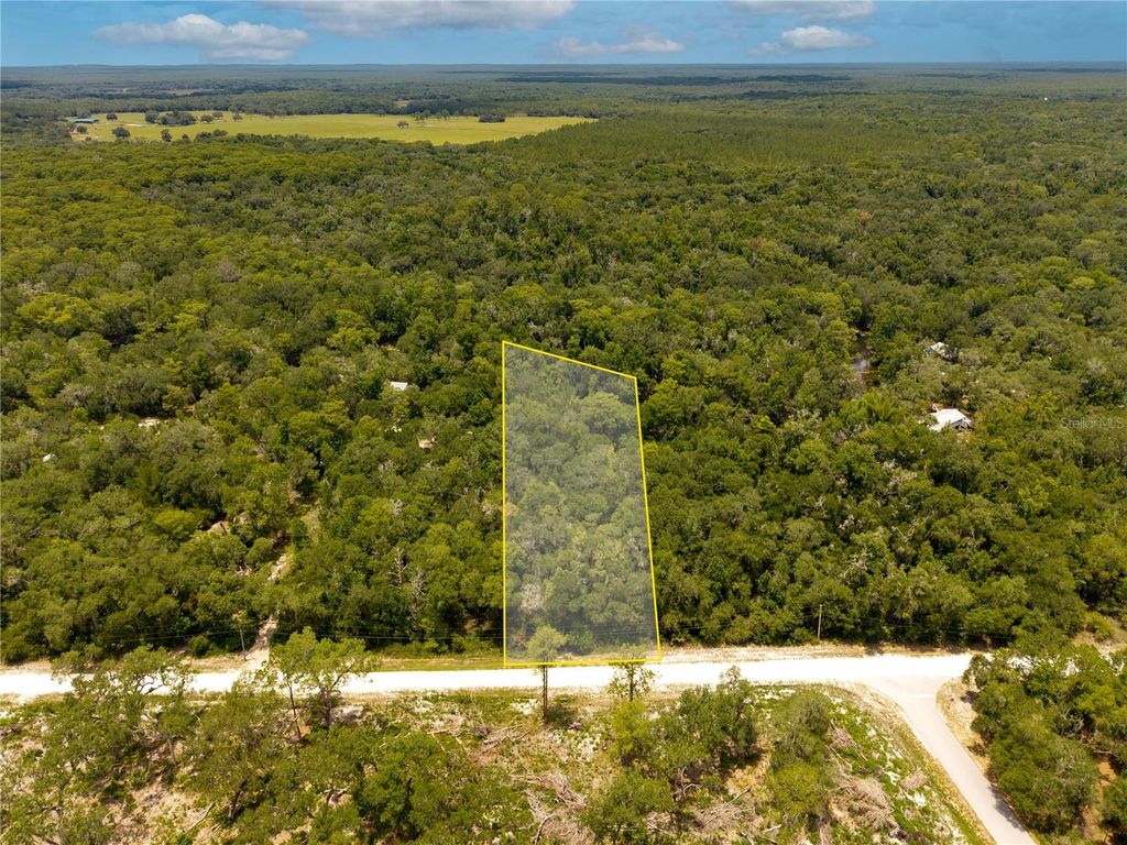 7353 RIVERVIEW DRIVE, Webster, FL 33597