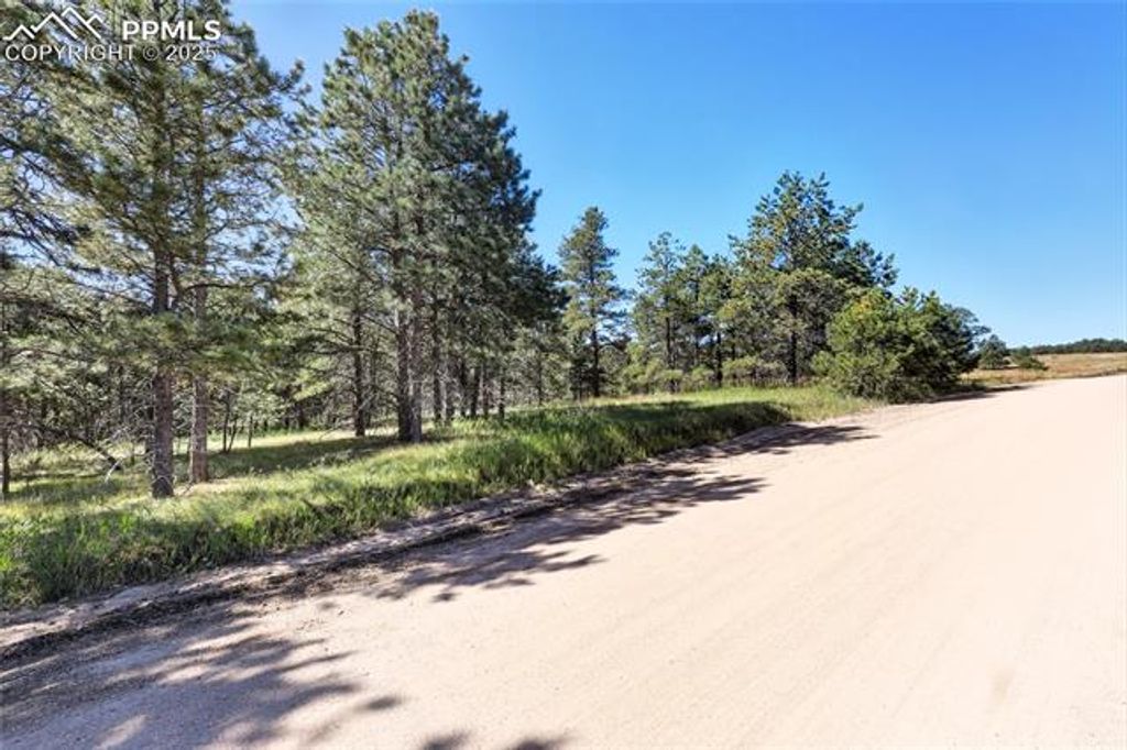 18390 Black Squirrel Road, Colorado Springs, CO 80908 — photo 3