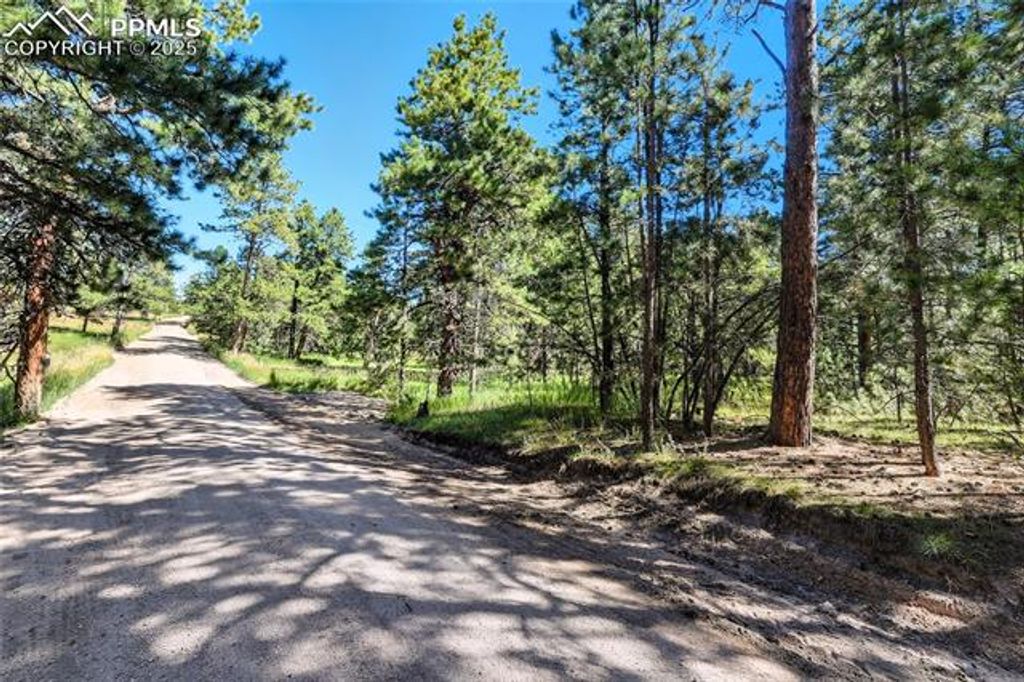 18390 Black Squirrel Road, Colorado Springs, CO 80908 — photo 5