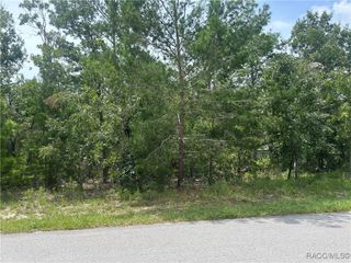 1 Cosmos Court E, Homosassa, FL 34446