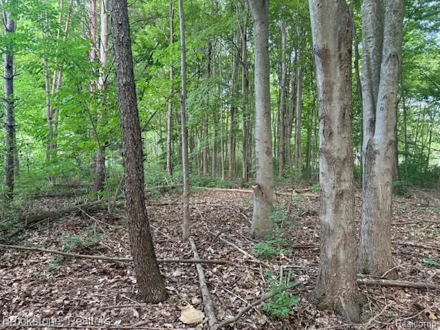 1 Lilac Lane, Shelby Charter Township, MI 48315