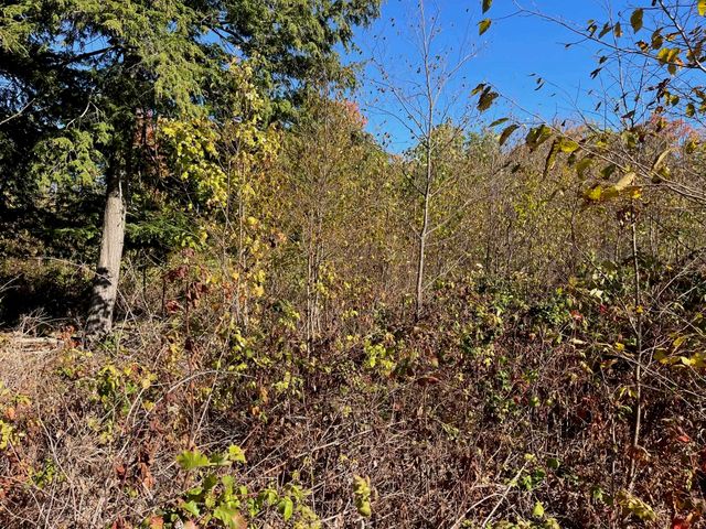 8784 Hemlock Hill Drive, Long Lake Twp, MI 49685