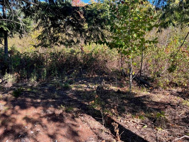 8784 Hemlock Hill Drive, Long Lake Twp, MI 49685