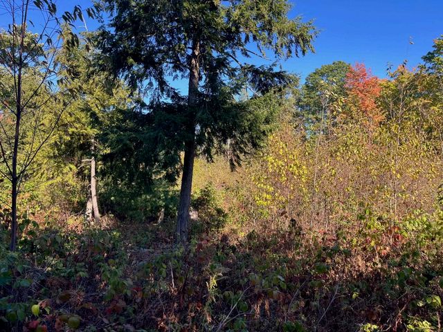 8784 Hemlock Hill Drive, Long Lake Twp, MI 49685