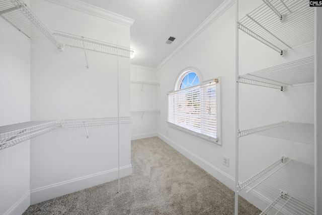 3 Aderley Court, Irmo, SC 29063