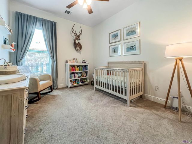 23342 Cypress Cove, Springfield, LA 70462