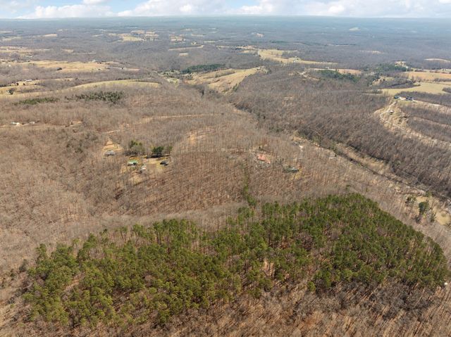 7822 Barnhill Rd, Primm Springs, TN 38476