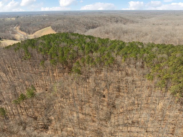 7822 Barnhill Rd, Primm Springs, TN 38476