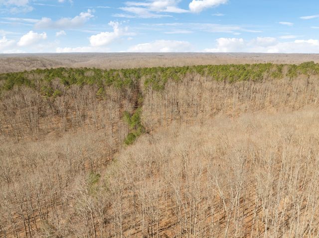 7822 Barnhill Rd, Primm Springs, TN 38476