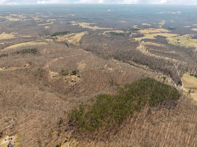 7822 Barnhill Rd, Primm Springs, TN 38476