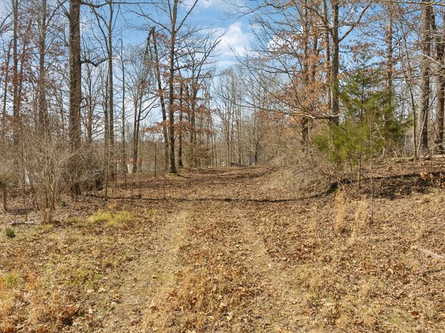 7822 Barnhill Rd, Primm Springs, TN 38476