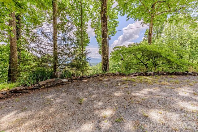 1680 Williamson Road, Whittier, NC 28789