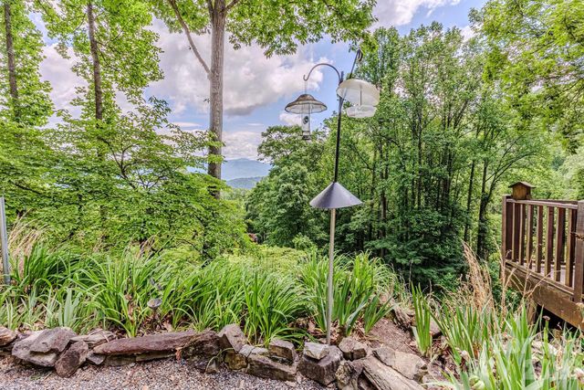 1680 Williamson Road, Whittier, NC 28789