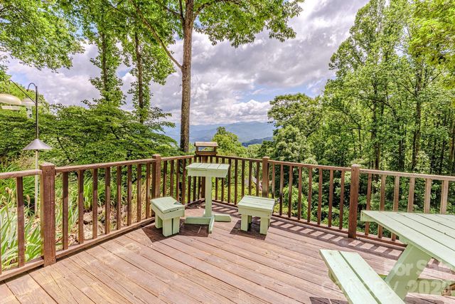 1680 Williamson Road, Whittier, NC 28789