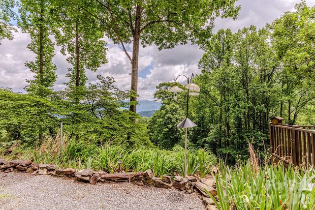 1680 Williamson Road, Whittier, NC 28789