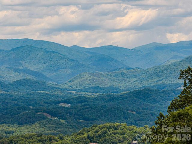 1680 Williamson Road, Whittier, NC 28789