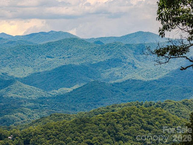 1680 Williamson Road, Whittier, NC 28789