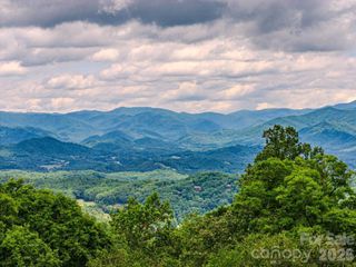 1680 Williamson Road, Whittier, NC 28789